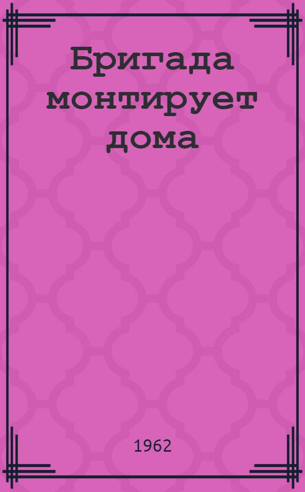 Бригада монтирует дома