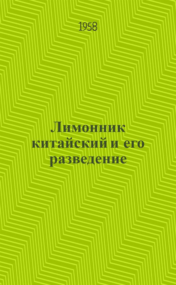 Лимонник китайский и его разведение