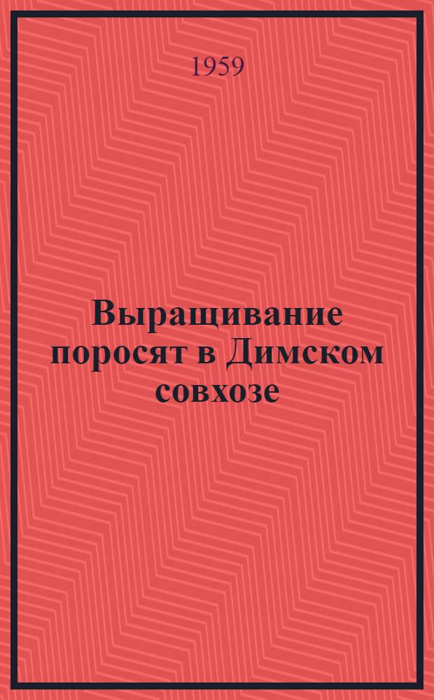 Выращивание поросят в Димском совхозе