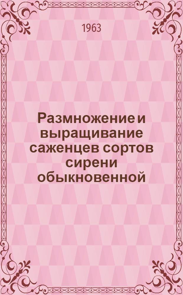 Размножение и выращивание саженцев сортов сирени обыкновенной