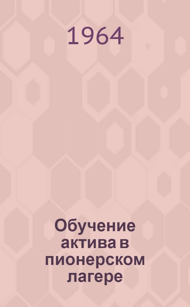 Обучение актива в пионерском лагере