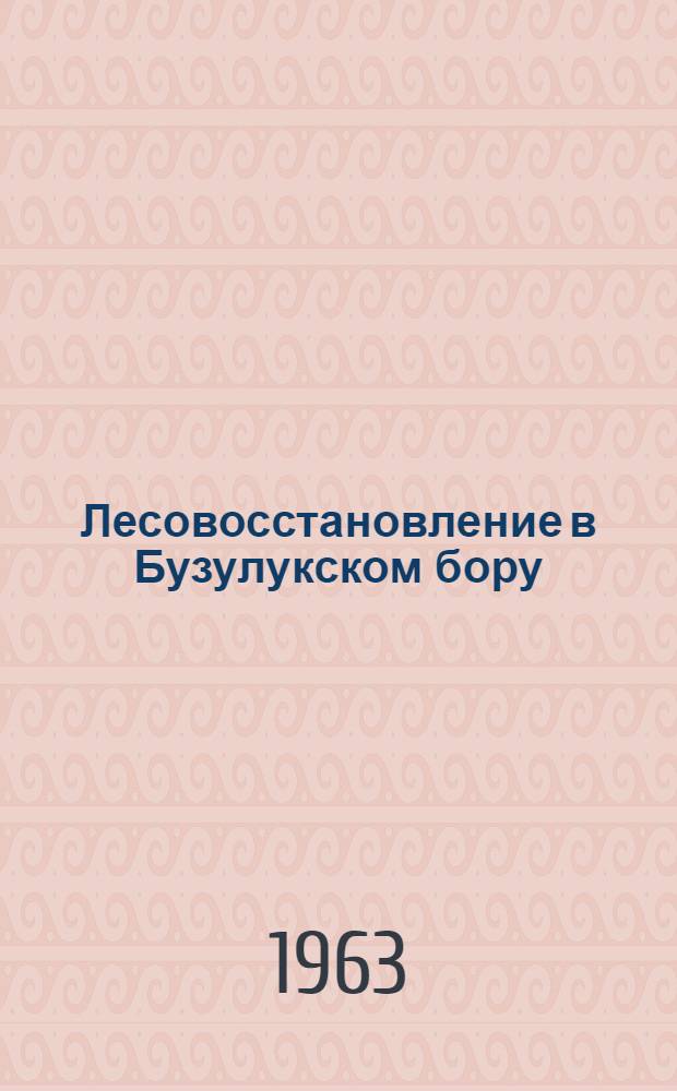 Лесовосстановление в Бузулукском бору