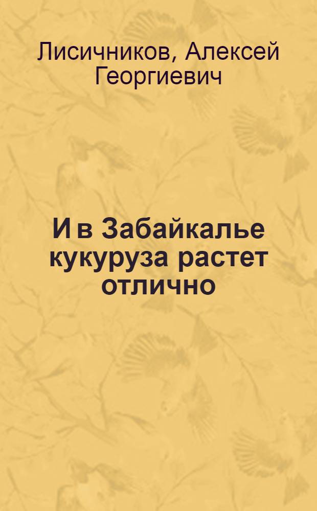 И в Забайкалье кукуруза растет отлично : (Опыт звеньевого колхоза "Первое мая" Шилкин. района)