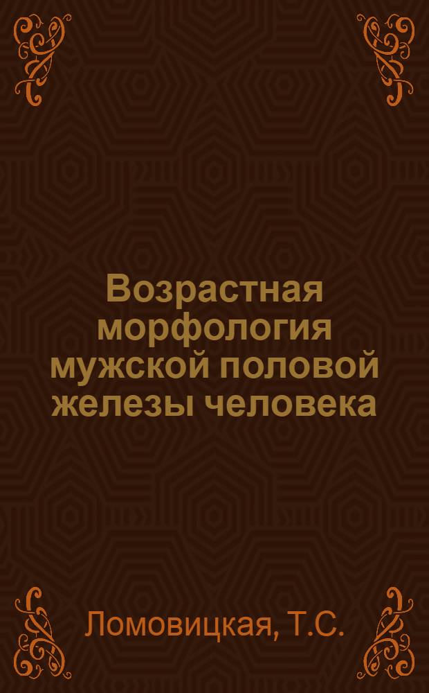 Возрастная морфология мужской половой железы человека : Автореферат дис. на соискание учен. степени кандидата мед. наук