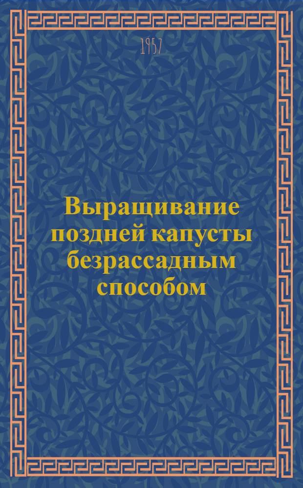 Выращивание поздней капусты безрассадным способом