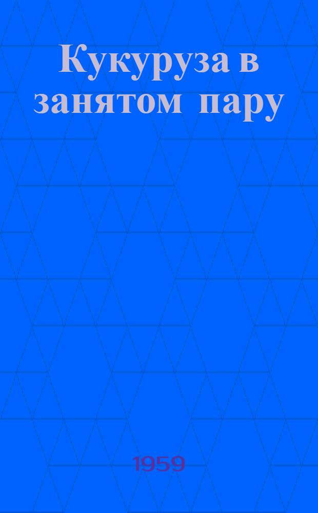 Кукуруза в занятом пару