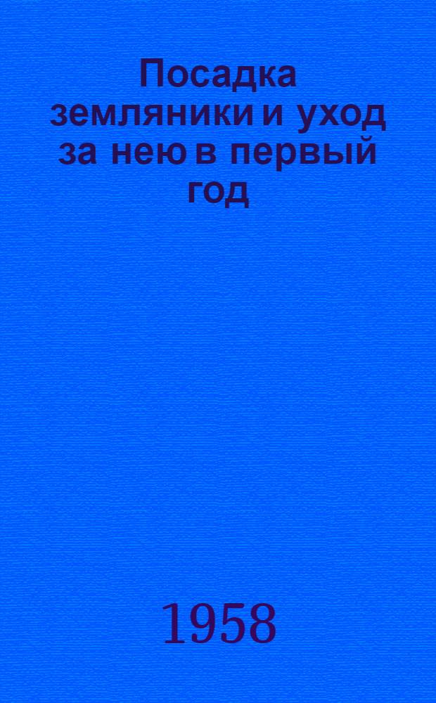 Посадка земляники и уход за нею в первый год