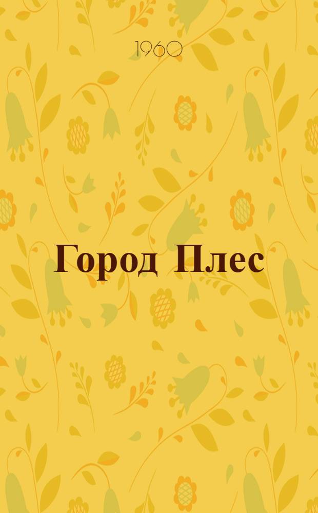 Город Плес