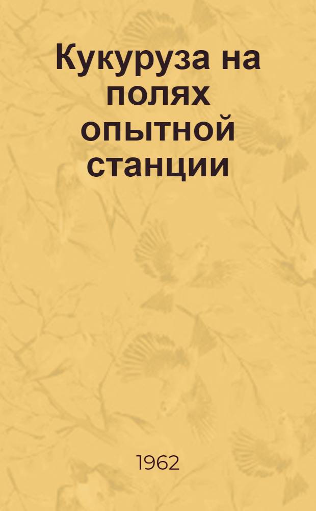 Кукуруза на полях опытной станции : Чуваш. опыт. с.-х. станция