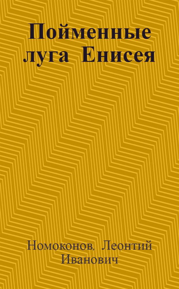 Пойменные луга Енисея