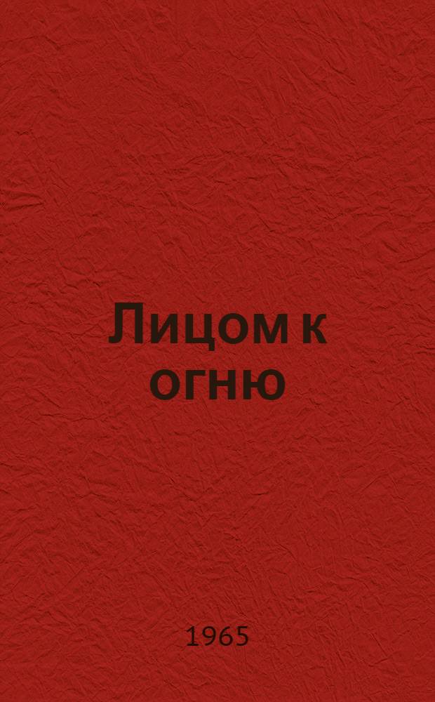 Лицом к огню : Автобиогр. повесть