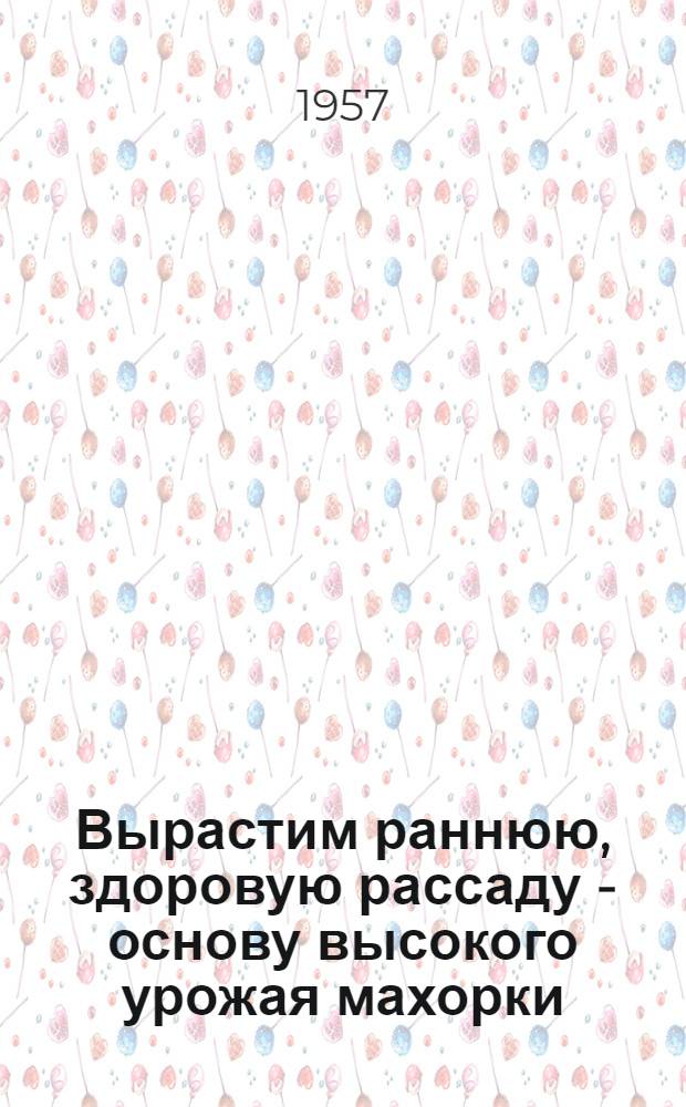 Вырастим раннюю, здоровую рассаду - основу высокого урожая махорки
