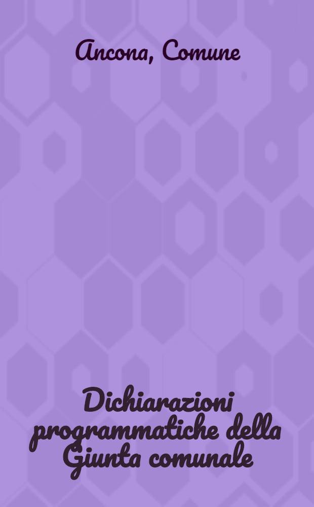 Dichiarazioni programmatiche della Giunta comunale