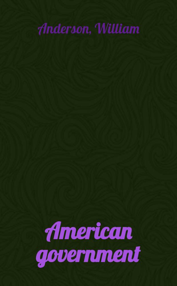 American government