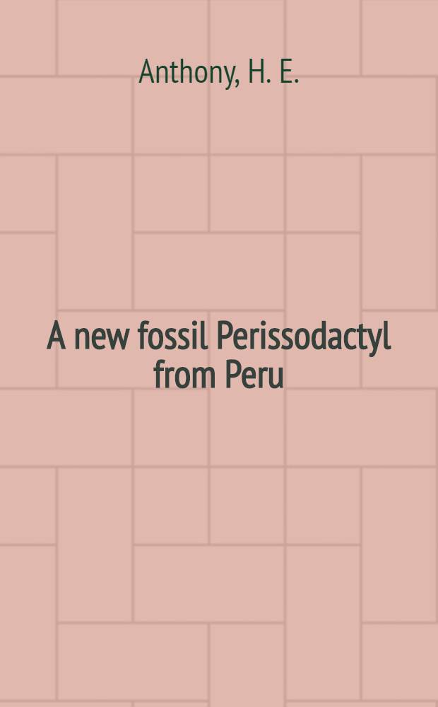 A new fossil Perissodactyl from Peru