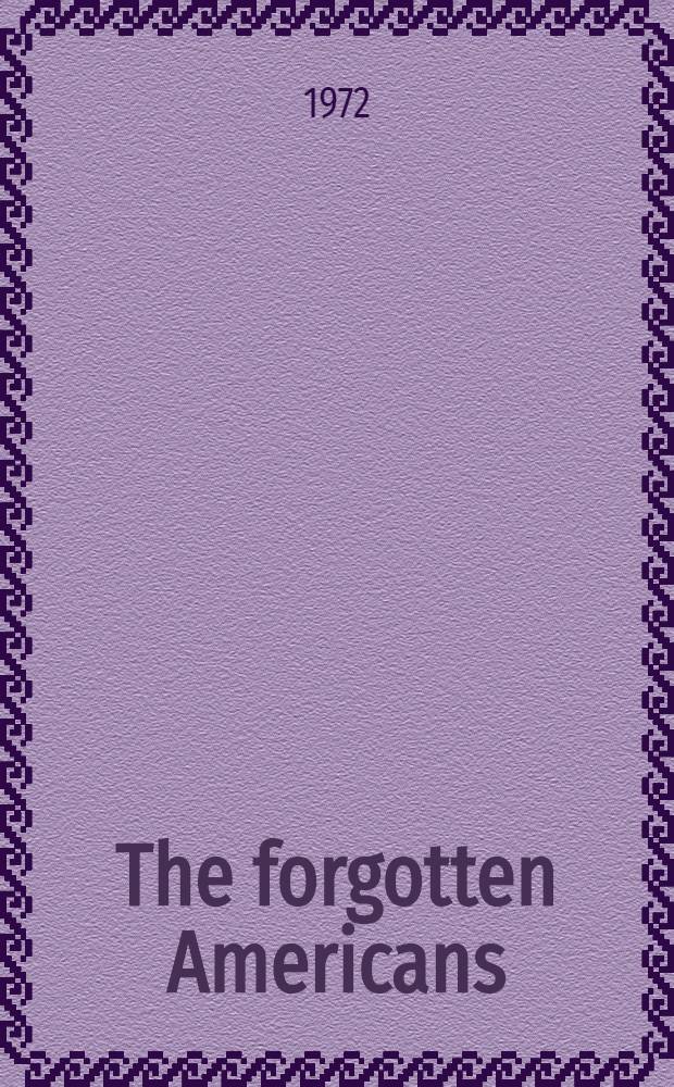 The forgotten Americans : A survey of values, beliefs and concerns of the majority