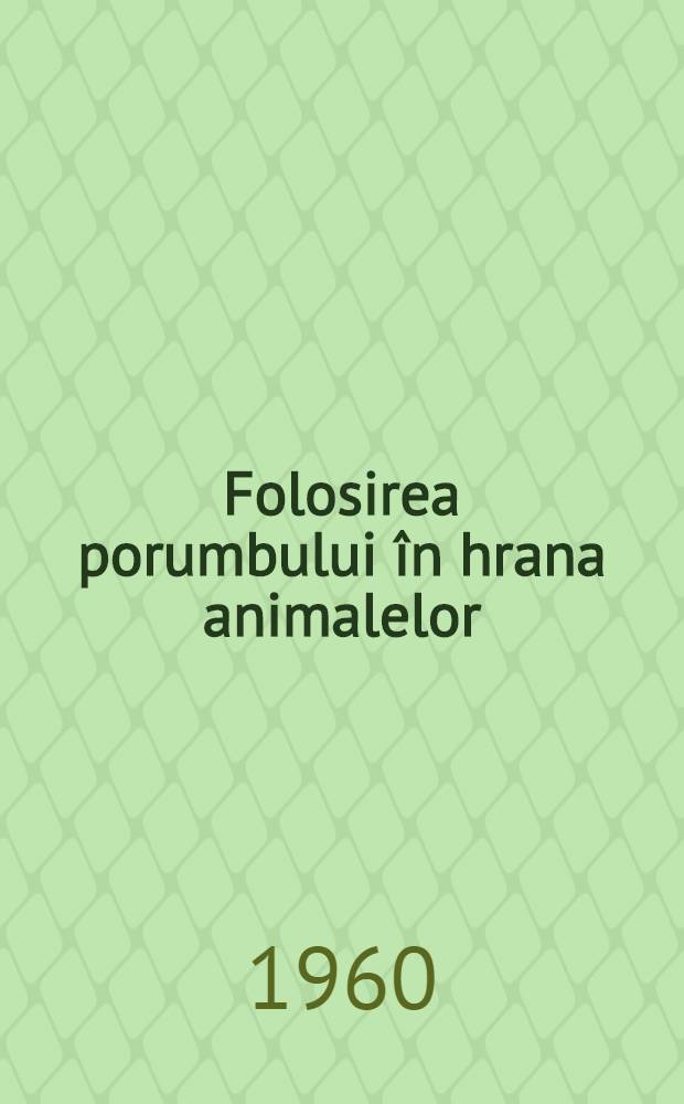 Folosirea porumbului în hrana animalelor
