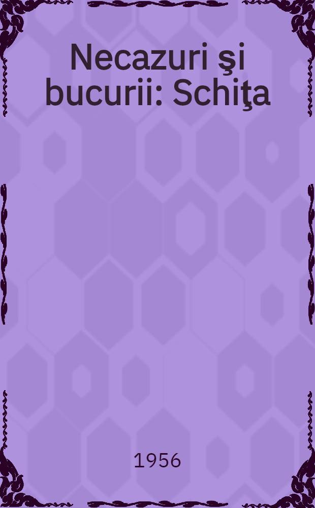 Necazuri şi bucurii : Schiţa