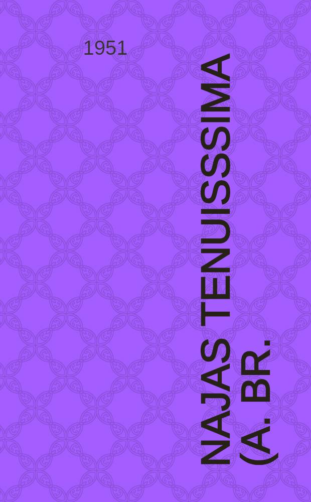 [Najas tenuisssima (A. Br.) Magnus einst und jetzt