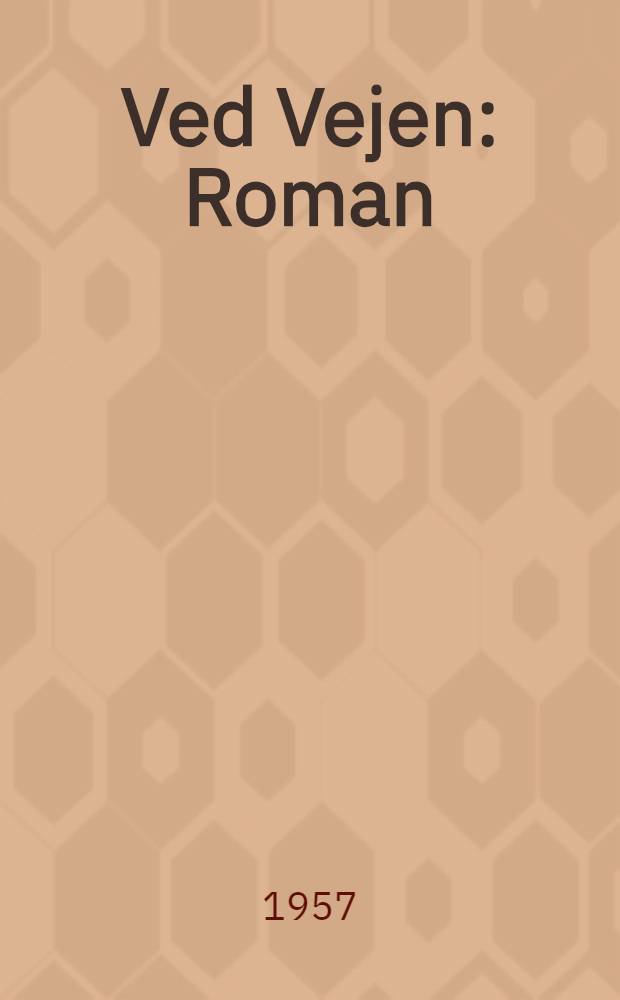 Ved Vejen : Roman