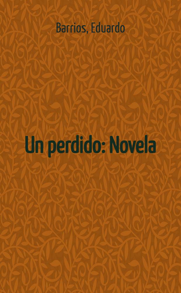 Un perdido : Novela