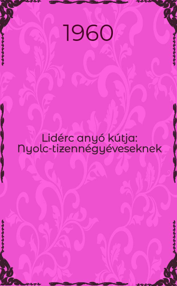 Lidérc anyó kútja : Nyolc-tizennégyéveseknek