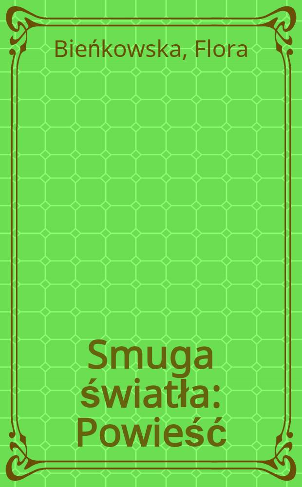 Smuga światła : Powieść
