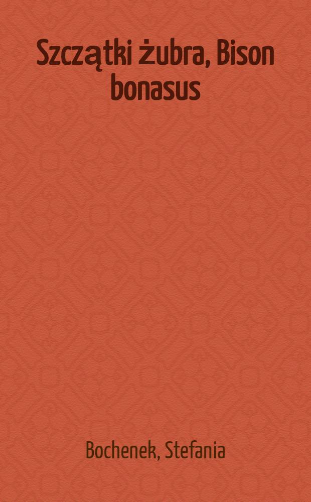 Szczątki żubra, Bison bonasus (L.), z Podhala