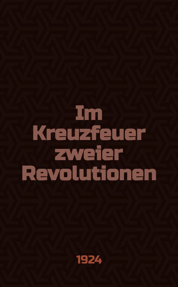 Im Kreuzfeuer zweier Revolutionen