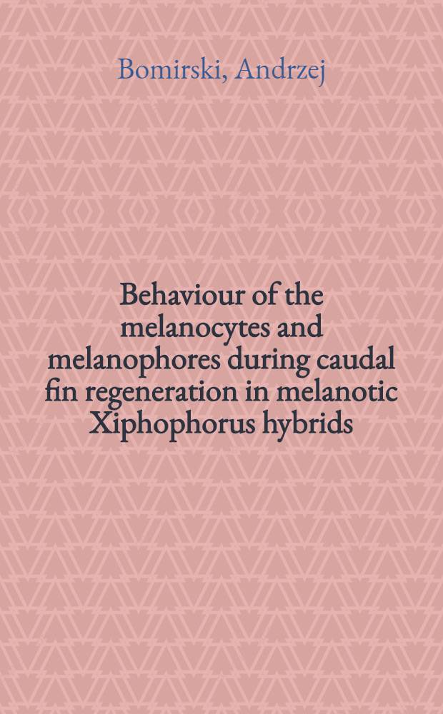 Behaviour of the melanocytes and melanophores during caudal fin regeneration in melanotic Xiphophorus hybrids