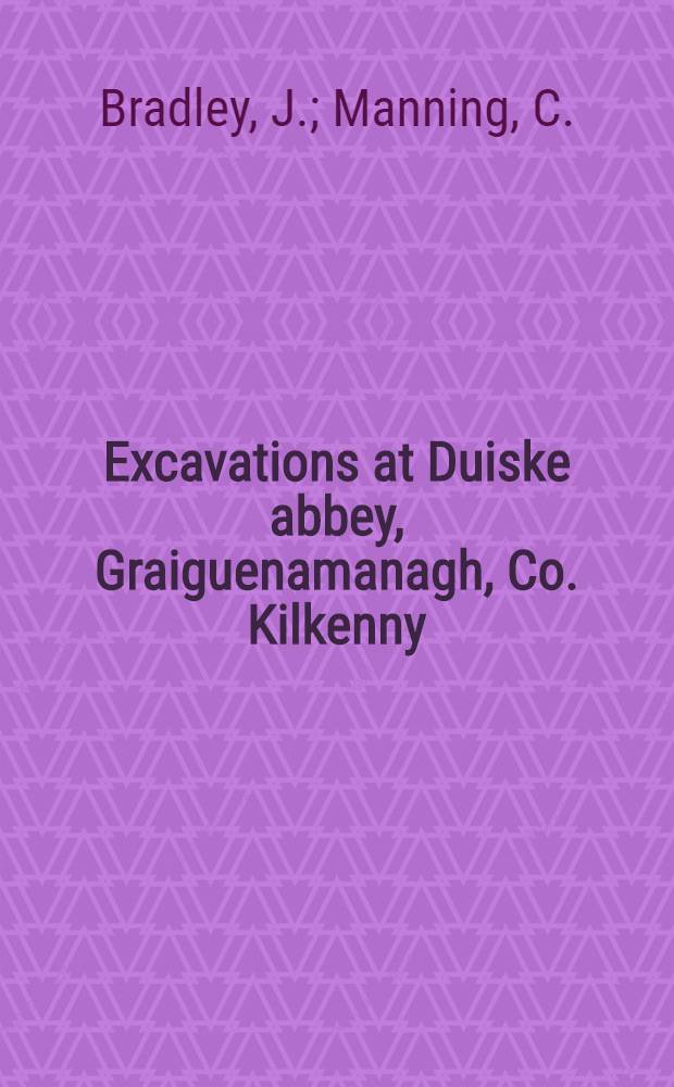 Excavations at Duiske abbey, Graiguenamanagh, Co. Kilkenny