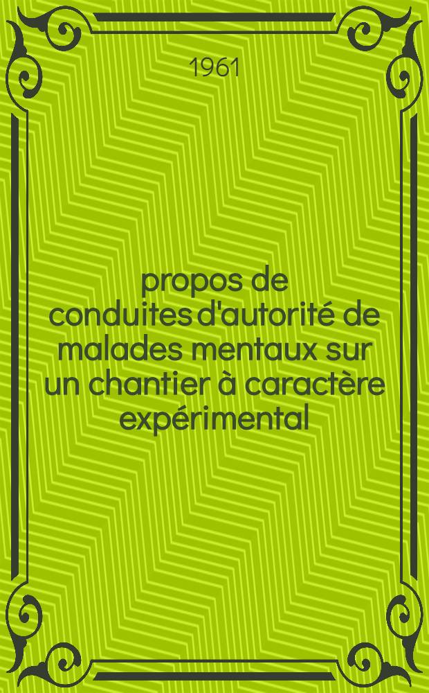 À propos de conduites d'autorité de malades mentaux sur un chantier à caractère expérimental : Thèse ...