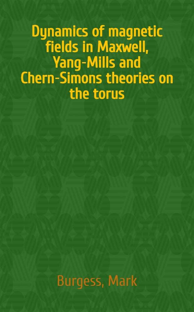 Dynamics of magnetic fields in Maxwell, Yang-Mills and Chern-Simons theories on the torus