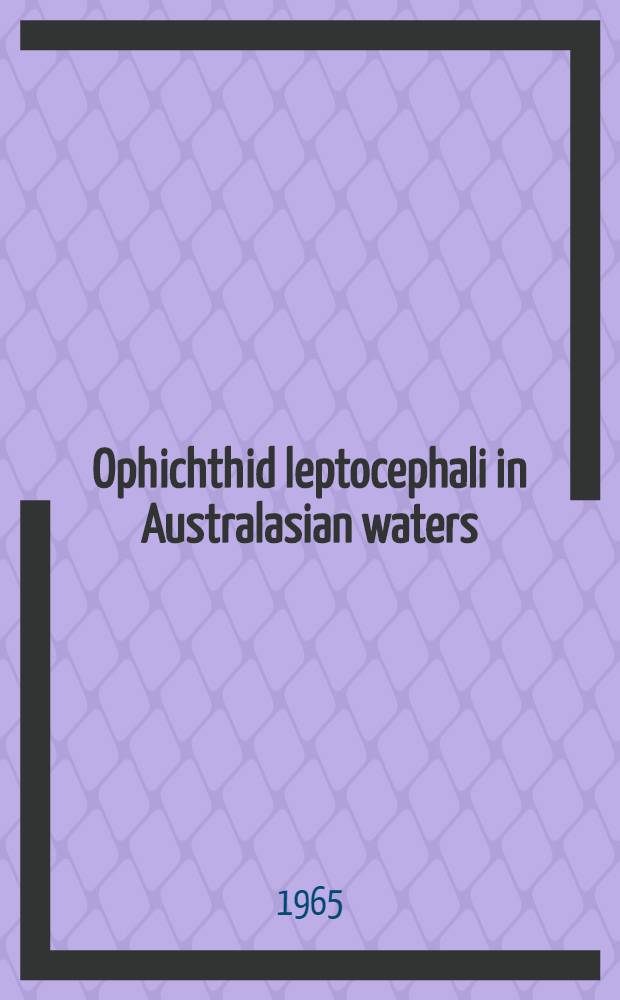 Ophichthid leptocephali in Australasian waters