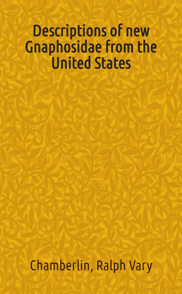 Descriptions of new Gnaphosidae from the United States