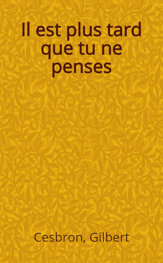 Il est plus tard que tu ne penses : Roman