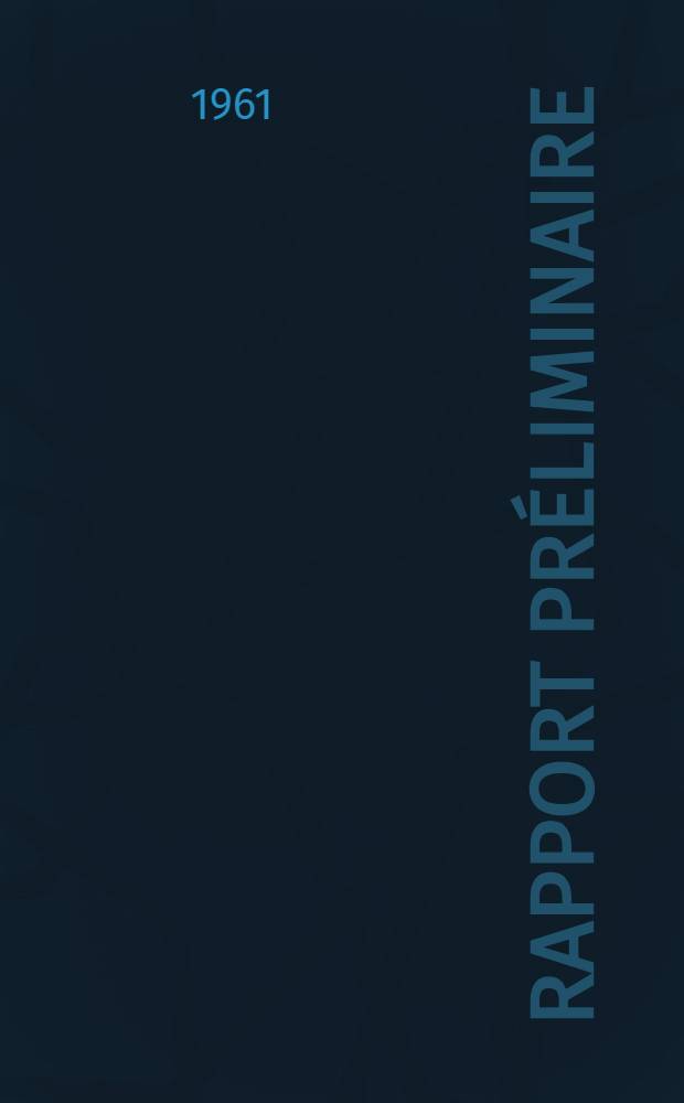 Rapport préliminaire
