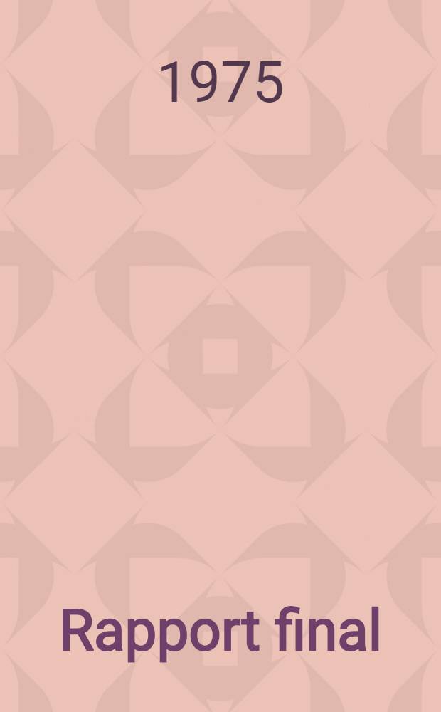 Rapport final