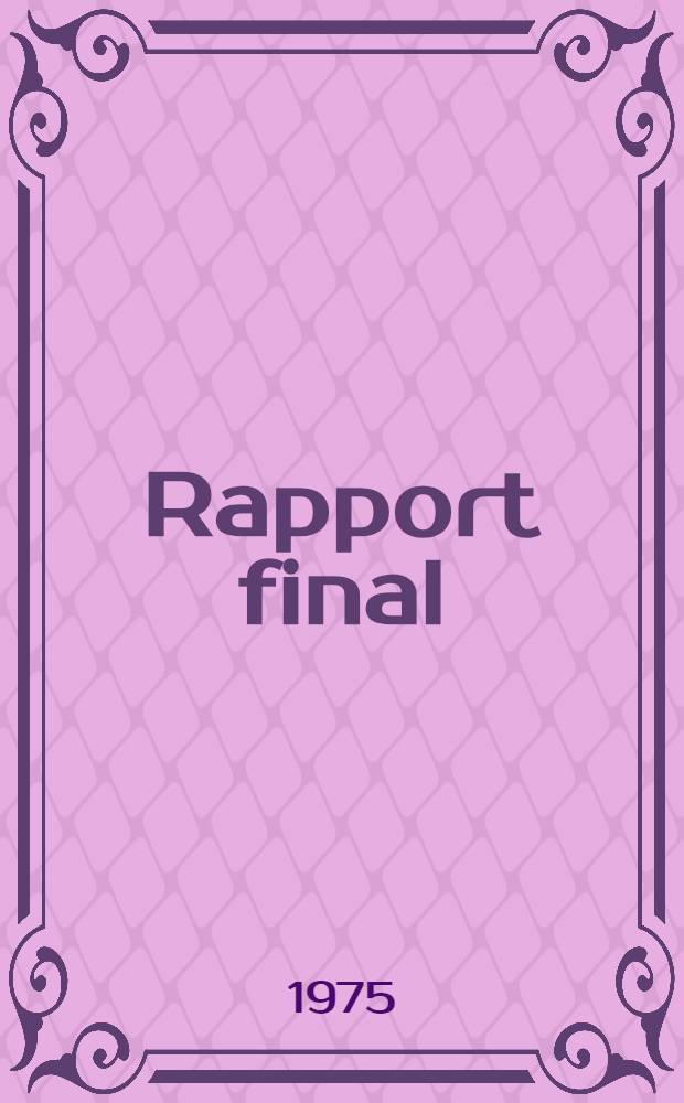 Rapport final