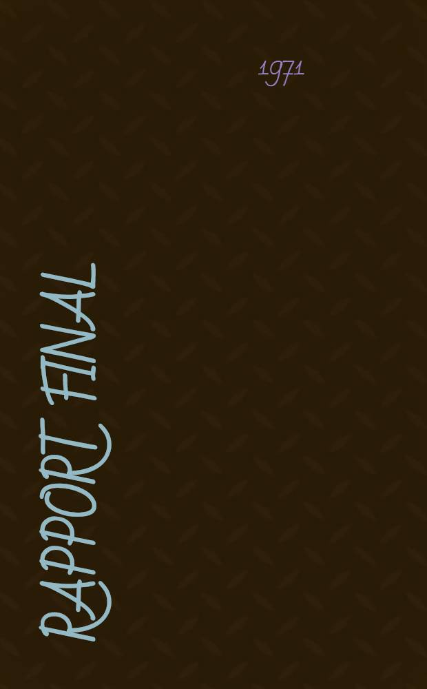 Rapport final
