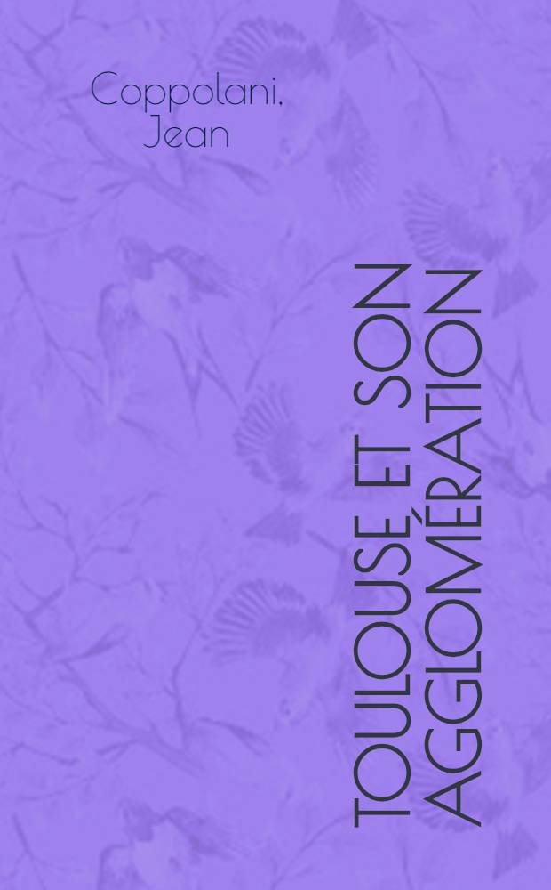 Toulouse et son agglomération