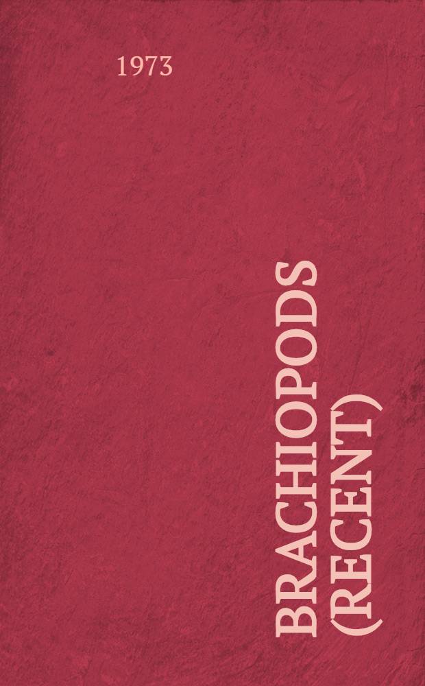 Brachiopods (Recent)