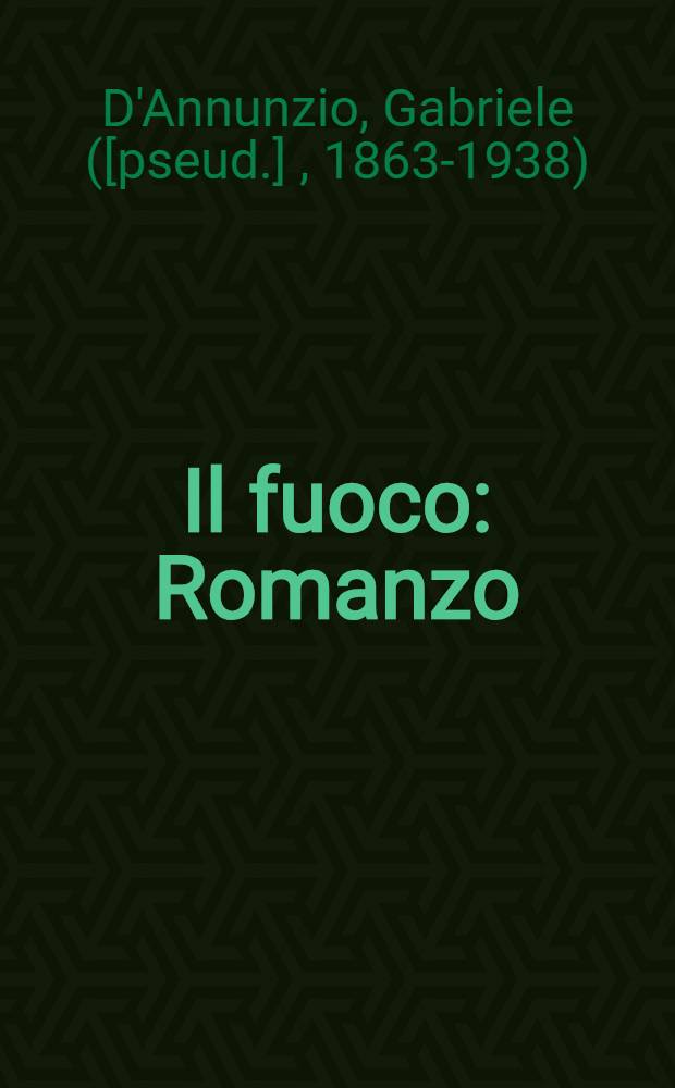 Il fuoco : Romanzo