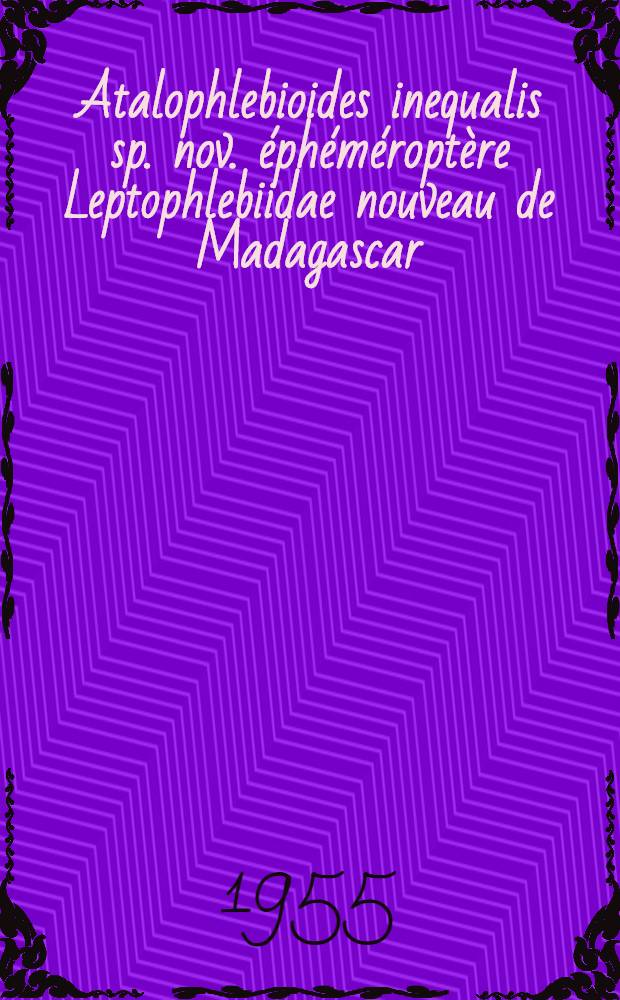 Atalophlebioides inequalis sp. nov. éphéméroptère Leptophlebiidae nouveau de Madagascar