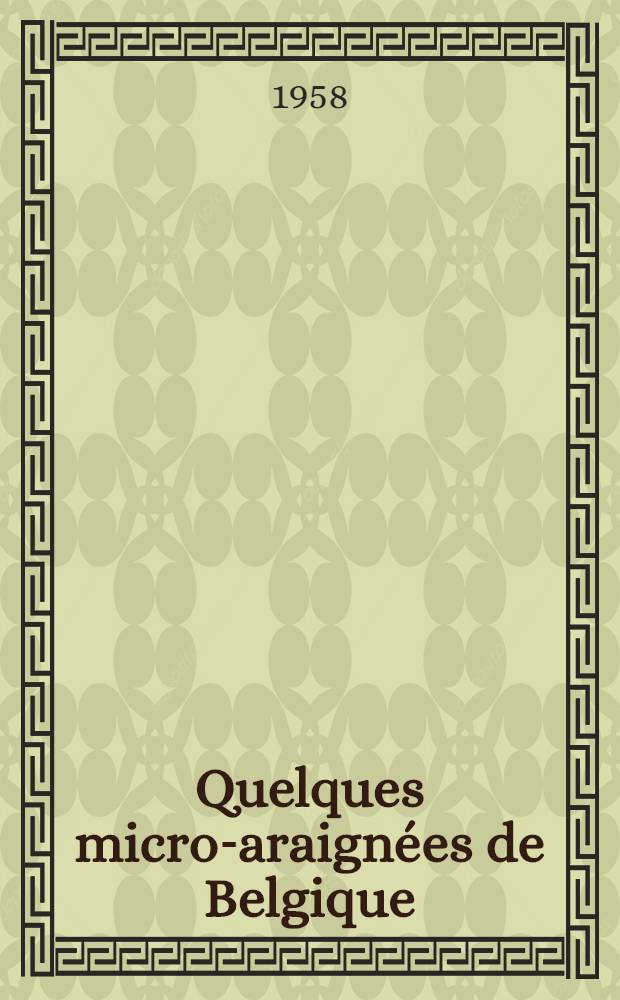 Quelques micro-araignées de Belgique