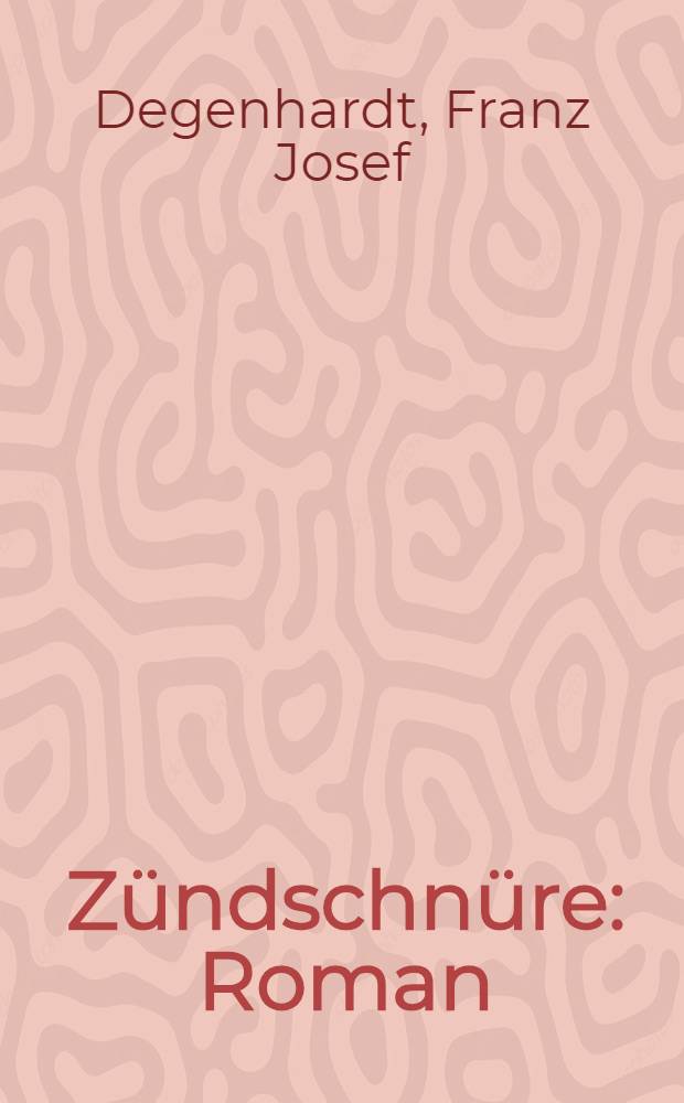 Z&uuml;ndschn&uuml;re : Roman