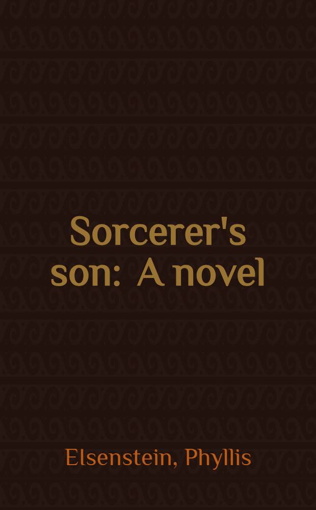 Sorcerer's son : A novel