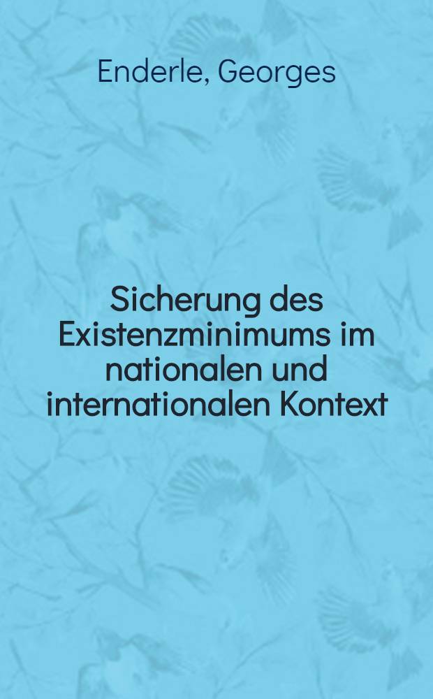 Sicherung des Existenzminimums im nationalen und internationalen Kontext : Eine wirtschaftsethische Studie