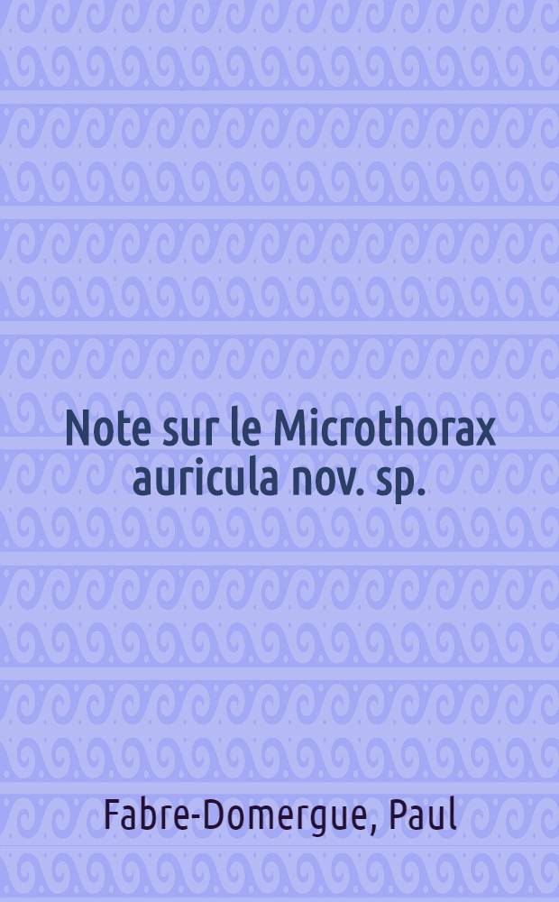 Note sur le Microthorax auricula nov. sp.