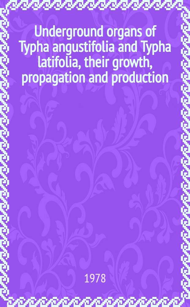 Underground organs of Typha angustifolia and Typha latifolia, their growth, propagation and production